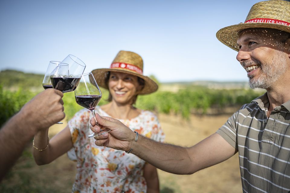 The Châteaux of Grès de Montpellier & Wine Tasting - Transport, group size, and the small-group advantage