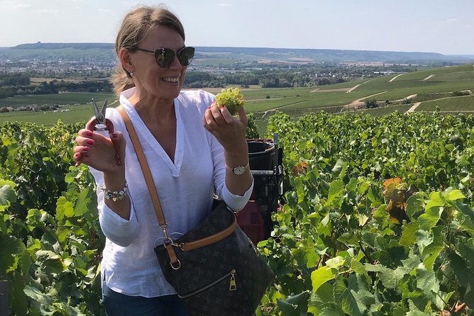 The Connoisseurs from Epernay (Private Half day Champagne Tour) - Oger and Blanc de Blancs: 100% Chardonnay and Taste Comparisons