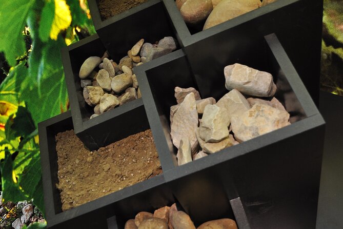 The discovery trail at Maison Brotte - Practical Tips Before You Go