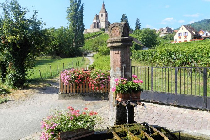 The Emblematic: visit of villages, Haut-Koenigsbourg, Wine tasting - Inside the Emblematic Alsace Day Trip from Colmar