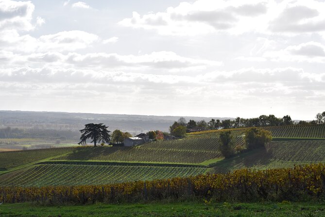 The Great Sauternes Wine Tour - Booking and Cancellation Details