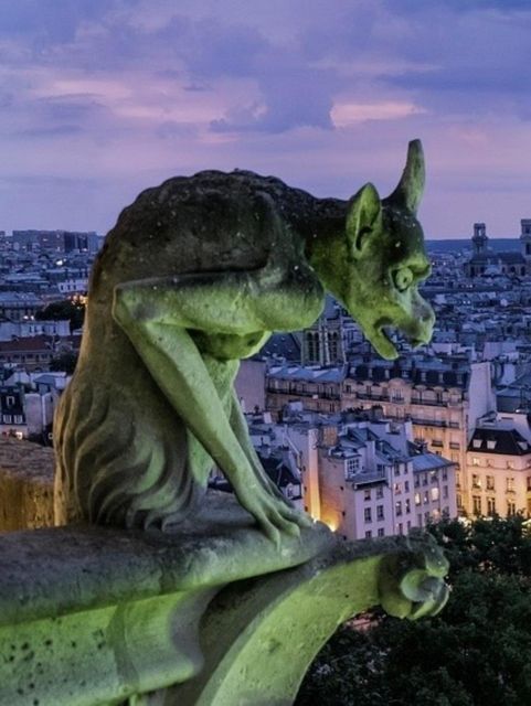 The Haunted Paris Experience - Square du Vert-Galant and the river at night