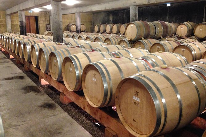 The Original Syrah Wine Tour (9:00 am - 1:30 pm) - Small Group Tours from Lyon - Why this Northern Rhône trip is worth your morning