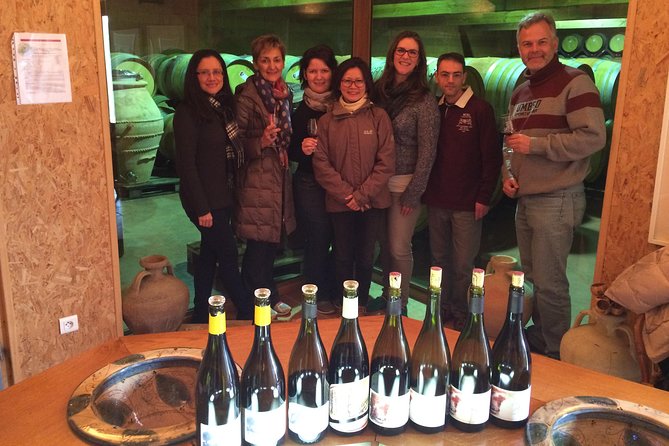The Original Syrah Wine Tour (9:00 am - 1:30 pm) - Small Group Tours from Lyon - Condrieu, Viognier’s birthplace