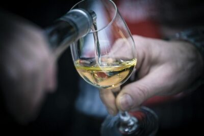 The Original Syrah Wine Tour (9:00 am - 1:30 pm) - Small Group Tours from Lyon - Meeting at Bellecour Square at 8:50 a.m.