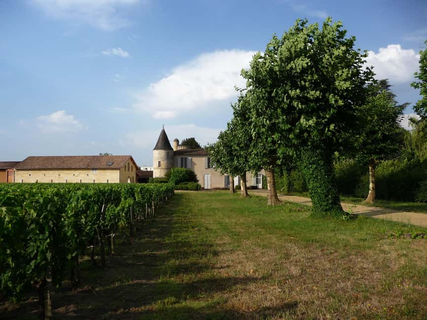 The vertical at Château Cruzeau - Why the vintage comparison matters at Château Cruzeau