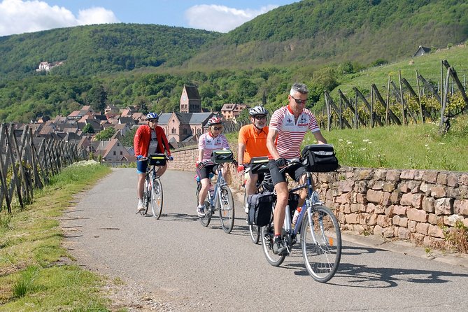 Through Alsace Vineyards and Wine Villages Private Bike Tour - Key highlights to know before you book
