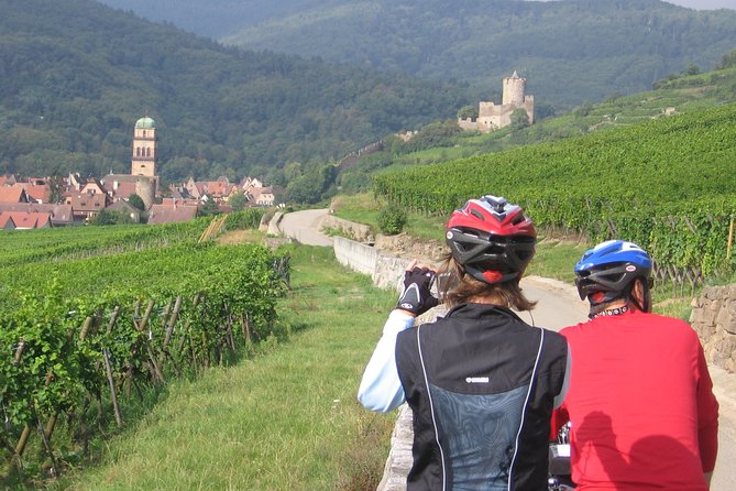 Through Alsace Vineyards and Wine Villages Private Bike Tour - Pedaling out of Vœgtlinshoffen: the smart way to see Alsace near Colmar