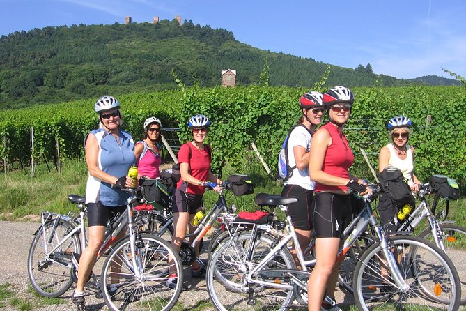 Through Alsace Vineyards and Wine Villages Private Bike Tour - Voegtlinshoffen tasting finale: where the day pays you back