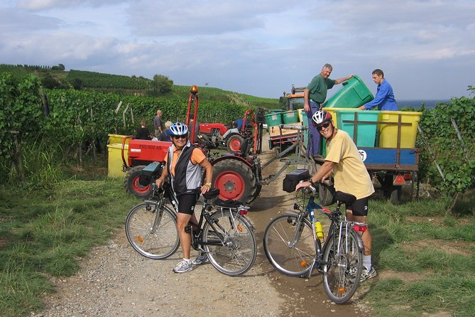 Through Alsace Vineyards and Wine Villages Private Bike Tour - How legends and history add value (without slowing you down)