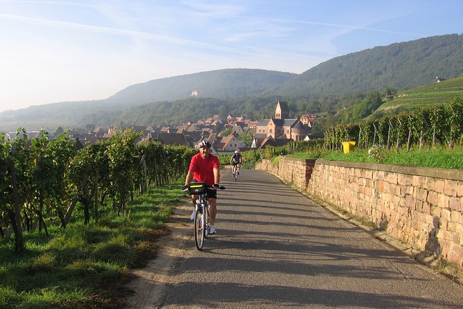 Through Alsace Vineyards and Wine Villages Private Bike Tour - Price and value at about $132.16 per person