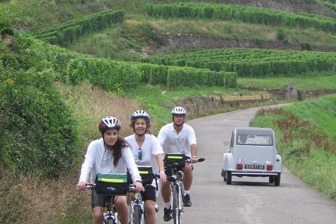 Through Alsace Vineyards and Wine Villages Private Bike Tour - E-bike or bike: what to expect from the effort level