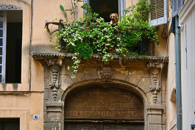 Time flies in this complete tour of Aix-en-Provence - Calissons, Rue d’Italie, and Passage Agard: tasting Provence the right way