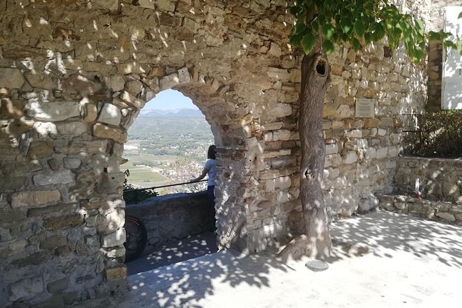 Toulon private Shore Excursion: A taste of Provence - La Cadiere d’Azur and the Bandol wine option