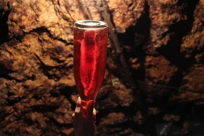 Tour of a Vineyard, Winery & Cellar with Wine Tasting in Vouvray, Loire Valley - Stop 1: Vineyard Walk in Vouvray (Soils, Grapes, and How the Place Matters)