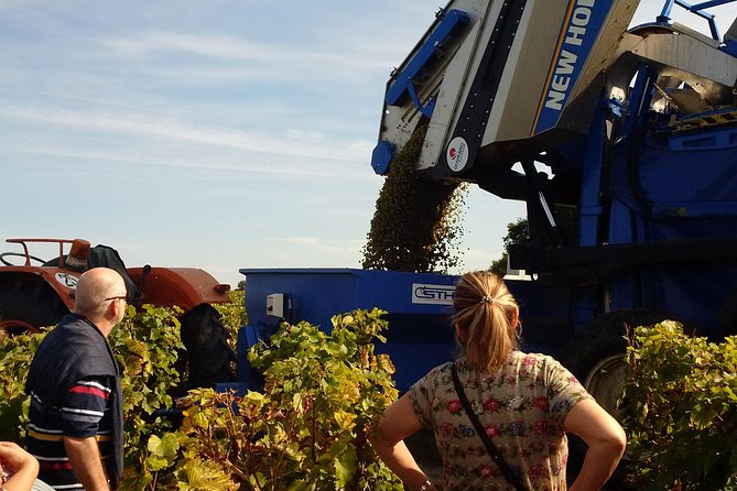 Tour of a Vineyard, Winery & Cellar with Wine Tasting in Vouvray, Loire Valley - Touring the Winery and Rock-Hewn Cellar