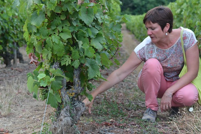 Tour of a Vineyard, Winery & Cellar with Wine Tasting in Vouvray, Loire Valley - Wine Tasting: Six Loire Wines + Local Food Pairings