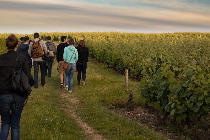 Tour of a Vineyard, Winery & Cellar with Wine Tasting in Vouvray, Loire Valley - Who Should Book This Tour (and Who Might Prefer Something Else)