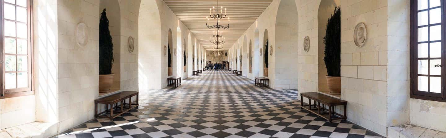 Tours/Amboise: Chambord, Chenonceau Day Trip & Wine Tasting - Amboise wine tasting at Les Caves Ambacia: Loire styles explained