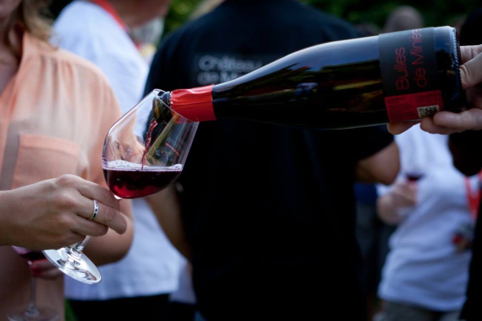 Tours/Amboise: Private tour AzayLeRideau Langeais Villandry - Bourgueil organic wine in the Loire countryside