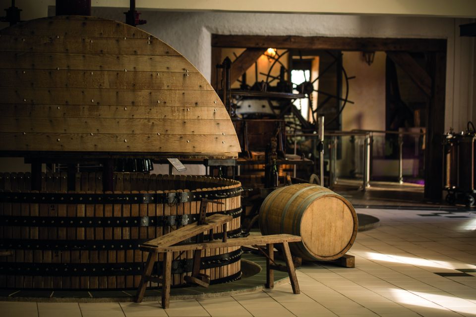 Trio Chocolaté - Tour en français - Champagne Passy-Grigny - The 12°C winery requires one small bit of planning