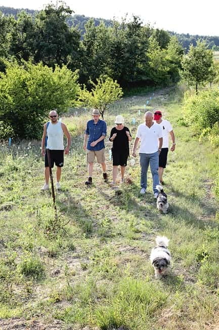 Truffle Hunting in Provence - Key things to know before you book