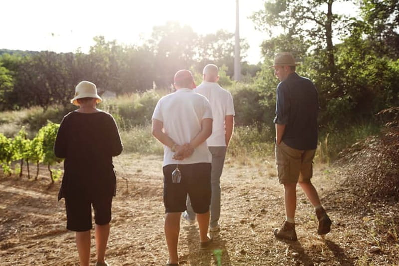 Truffle Hunting in Provence - The 3-hour truffle hunt in Provence: what you do, step by step