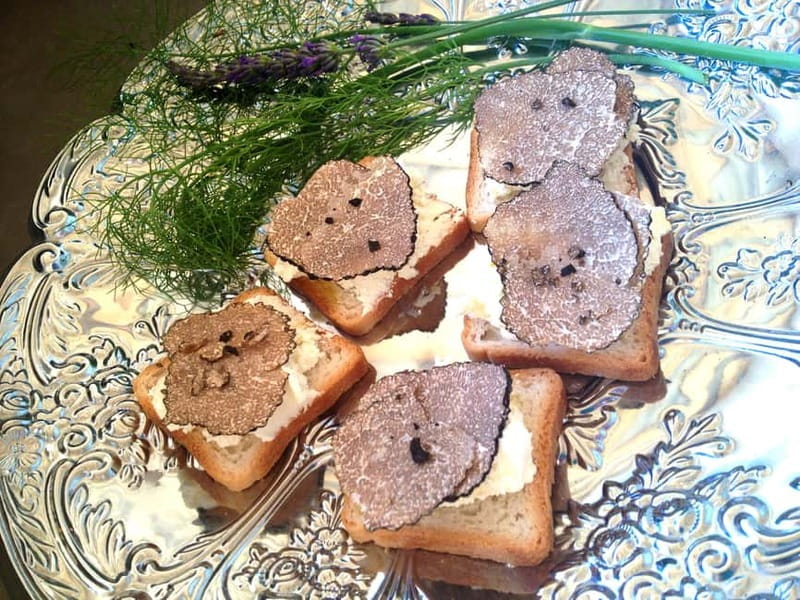 Truffle Hunting in Provence - Champagne, truffle snacks, and how the tasting is organized