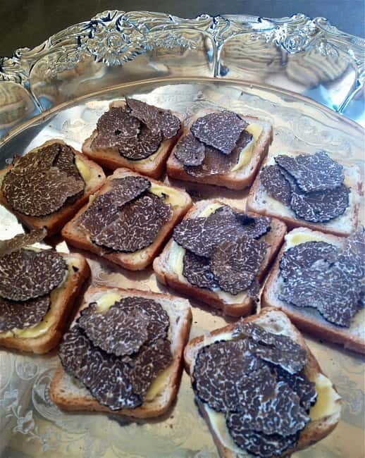 Truffle Hunting in Provence - Getting there: the one logistics piece you must not ignore