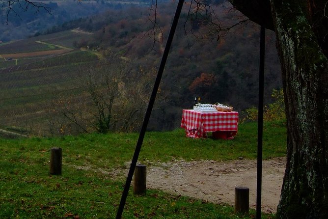 Unusual exploration of the terroirs of Burgundy in 2CV - from 6 people - How much value do you get for $616.76?