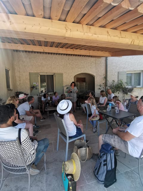 Valensole : Visit of a winery and lavender farm - Key points to know