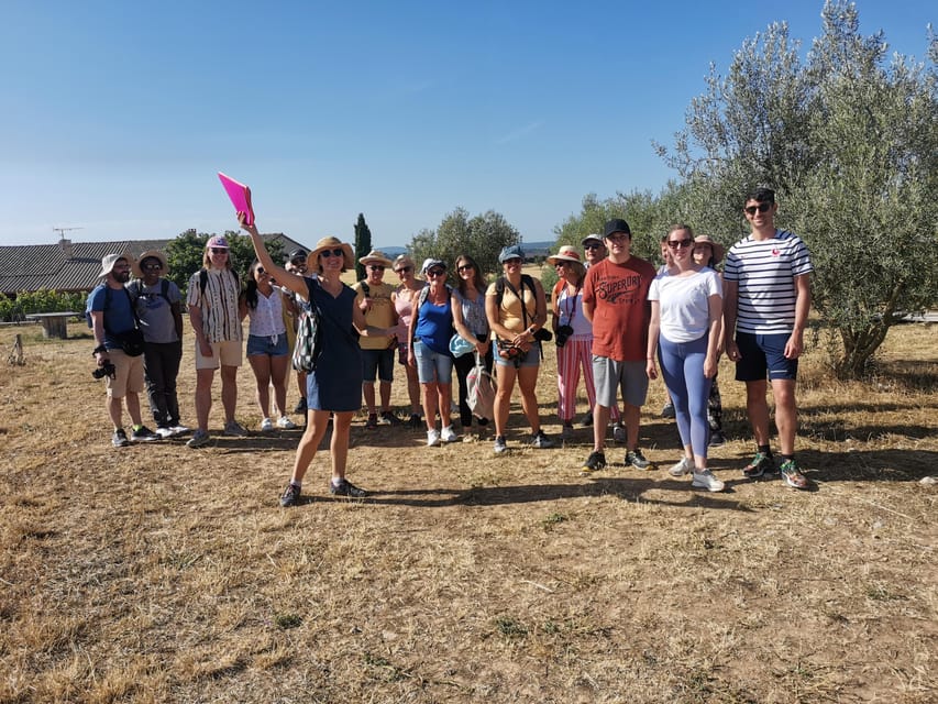 Valensole : Visit of a winery and lavender farm - Lavender, wild plants, and the scents of the estate