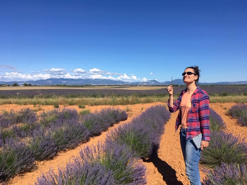 Valensole : Visit of a winery and lavender farm - The vineyard visit and optional €5 wine tasting
