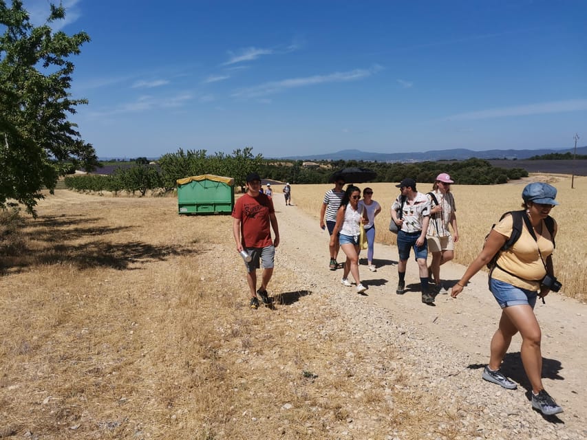 Valensole : Visit of a winery and lavender farm - Who will enjoy this estate visit most