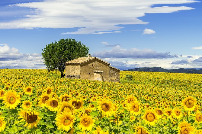 Van Gogh's Provence & Les-Baux-de-Provence - Afternoon Tour - Key Highlights You’ll Notice Right Away