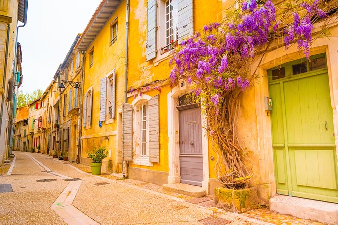 Van Gogh's Provence & Les-Baux-de-Provence - Afternoon Tour - The Ride Experience: Why the Minivan Comfort Matters