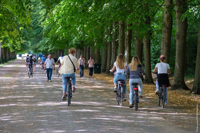 Versailles: Bike Rental, Different Sizes - Riding toward the palace and Grand Canal