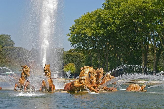 Versailles Domain Half or Full Day Private Guided Tour from Paris - The Palace of Versailles: how to use your time without getting lost