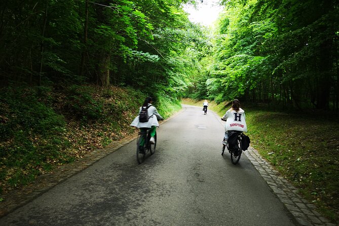 Versailles Full-Day Electric Bike Tour : Market, Picnic & Palace - Electric bike logistics: why this works better than a bus
