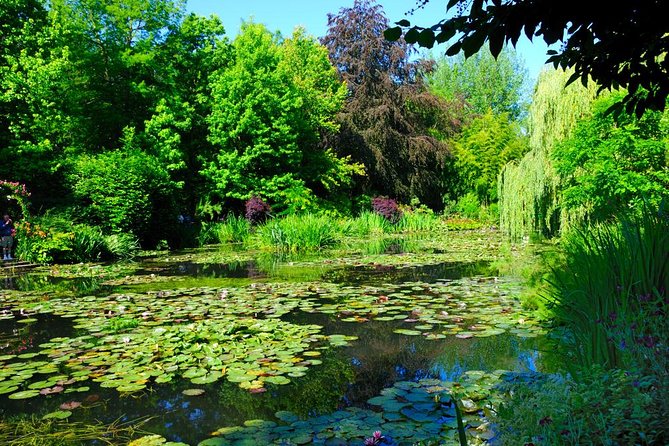 Versailles & Giverny Private Day Tour Luxury van & Private Guide - The change of mood at Monet’s Giverny