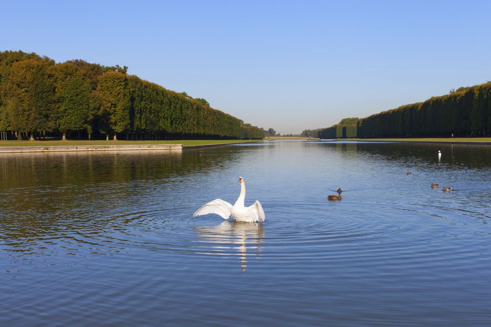 Versailles: Skip-the-Line Guided Tour of Palace with Gardens - Crowd strategy and timing for a 4-hour visit