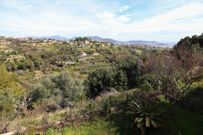 Viator Exclusive: Local Cooking Class & Dinner with View of Nice - The pacing: a 3-hour loop that goes starter to dessert