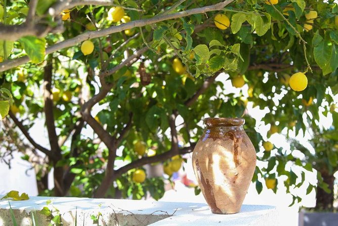 Viator Exclusive: Local Cooking Class & Dinner with View of Nice - Dessert: Lemon tiramisu, garden fruit, and a homemade liqueur
