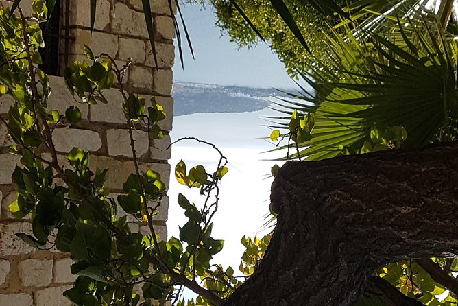 Villefranche Shore Excursion: 6 hrs Private Tour Eze and Monaco - How Much Flexibility Do You Really Get?