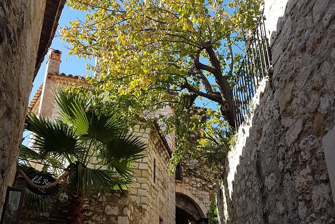 Villefranche Shore Excursion: 6 hrs Private Tour Eze and Monaco - What the $955.35 Group Price Buys
