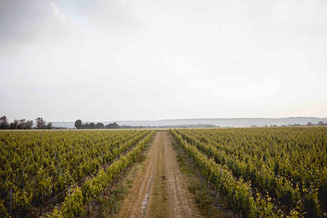 Vineyard tour and wine tasting in Davron - Key points to know before booking