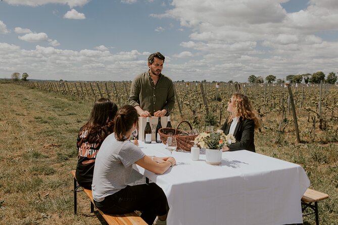 Vineyard tour and wine tasting in Davron - What the outdoor setting means for your day