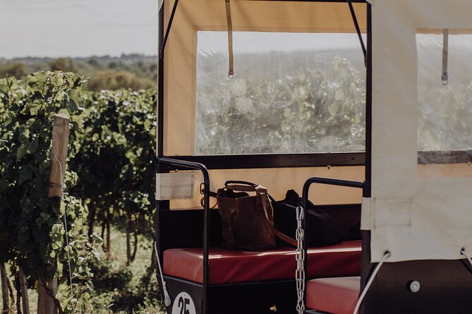Vineyard tour and wine tasting in Davron - Getting to the Davron meeting point