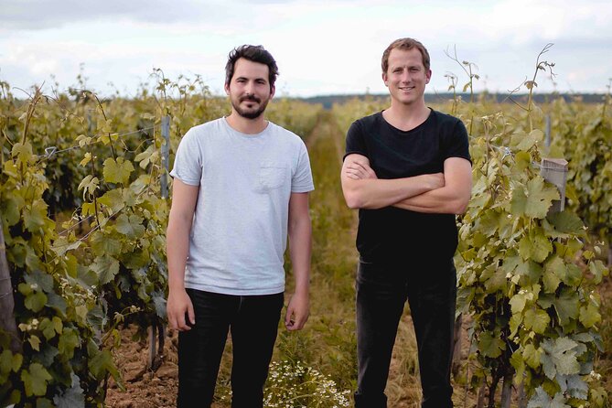 Vineyard tour and wine tasting in Davron - How the $41.70 price measures up
