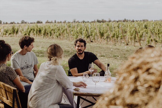 Vineyard tour and wine tasting in Davron - Who will enjoy this vineyard visit